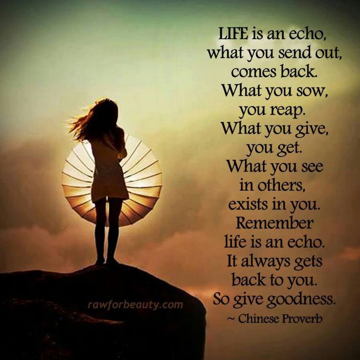 life is an echo all comes life is an echo all comes