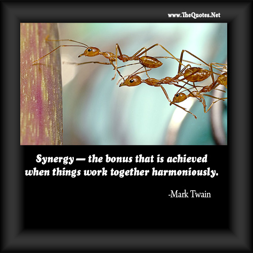 Motivational Quotes About Teamwork And Sports Quotesgram