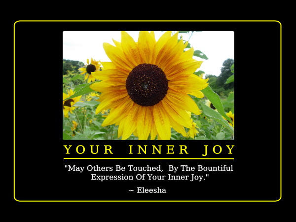 Quotes Joy Of Learning. QuotesGram