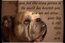 Quotes About English Bulldogs. QuotesGram