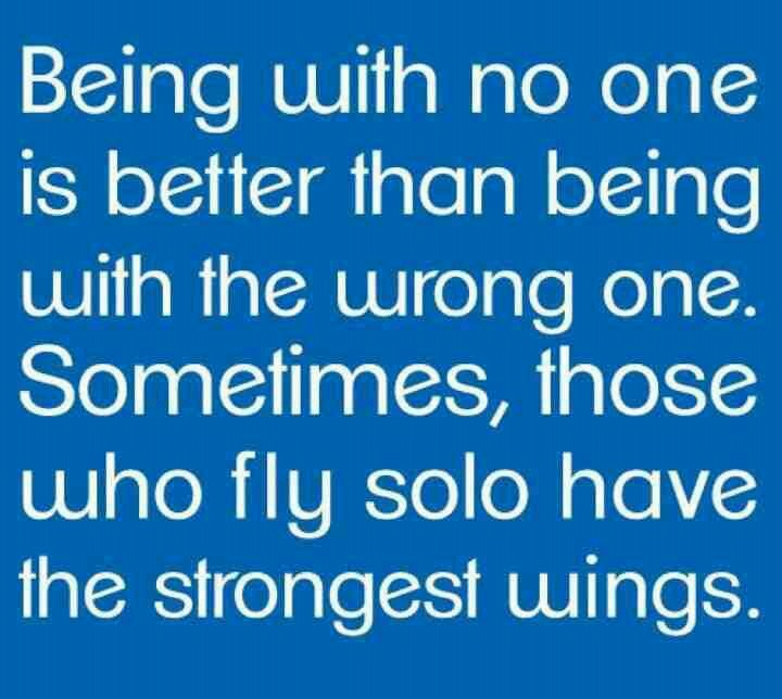I Was Flying Solo Then I Saw You I Fly Solo Quotes. QuotesGram