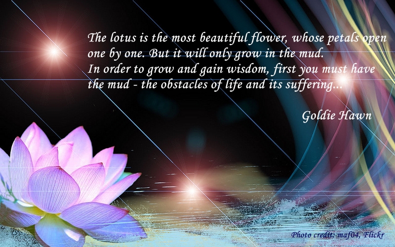 Lotus Flower Love Quotes