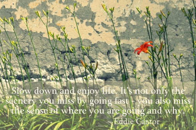 Quotes About Simple Living. QuotesGram