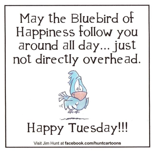 Tuesday Funny Work Quotes QuotesGram