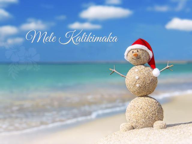 Hawaiian Christmas Images And Quotes QuotesGram