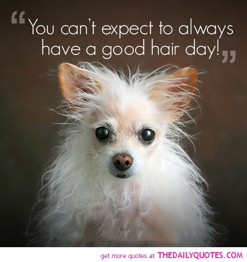 Good Hair Day Quotes. QuotesGram Good Hair Day Quotes. QuotesGram