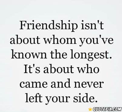 True Meaning Of Friendship Quotes. QuotesGram