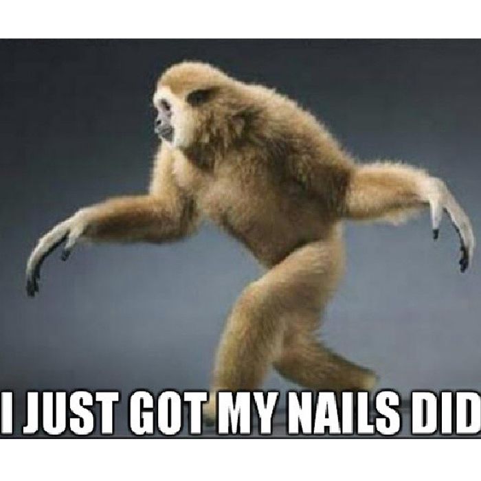 Nails Done Quotes. QuotesGram