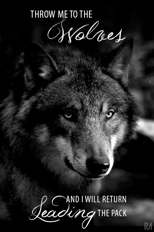 Throw Me To The Wolves Quote Throw Me To The Wolves Quotes. Quotesgram