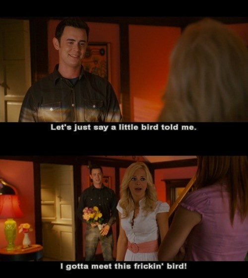 House Bunny Quotes. QuotesGram