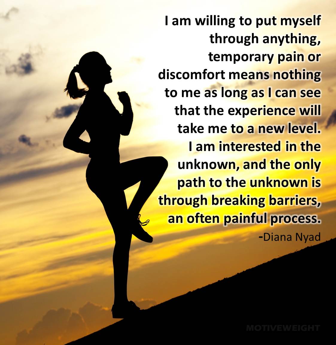 Arnold Gym Pain Quotes. QuotesGram Arnold Gym Pain Quotes. QuotesGram