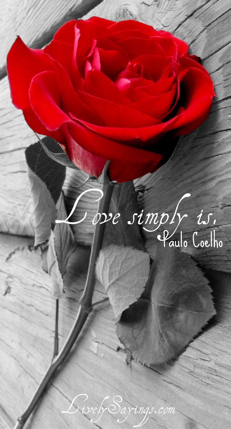 Roses With Quotes In Spanish. QuotesGram