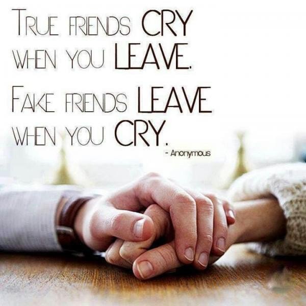 Deep Friendship Quote