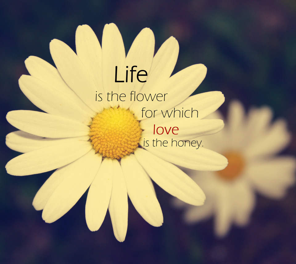 Quotes About Life And Flowers Quotesgram