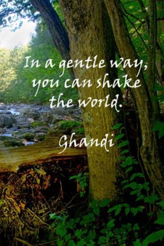 Glat Banyan Siesta Gandhi Quotes About Nature. QuotesGram