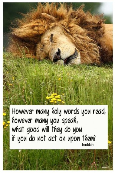Buddhist Quotes On Ego Quotesgram Buddhist Quotes On Ego Quotesgram