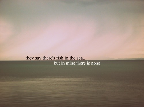 wallpapers Sweet Fishing Love Quotes cute fish love quotes quotesgram