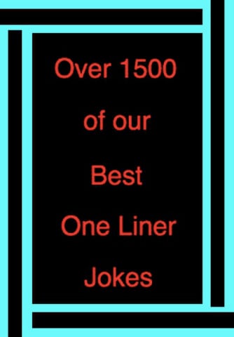 Liner puns one jokes 113+ Best