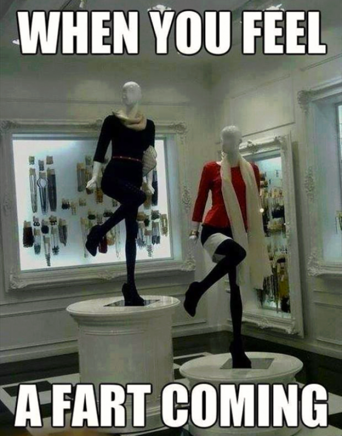 Fart Fart Funny Quotes Women. QuotesGram