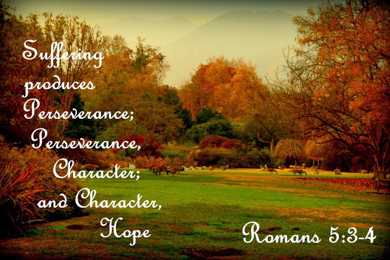 Perseverance Bible Quotes On Hope. QuotesGram