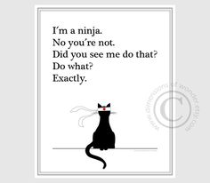 printable office quotes quotesgram