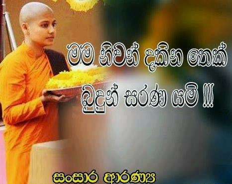Sinhala Quotes About Buddhism. QuotesGram
