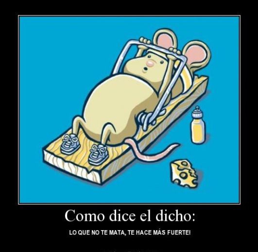 Como Dice El Dicho Quotes Quotesgram