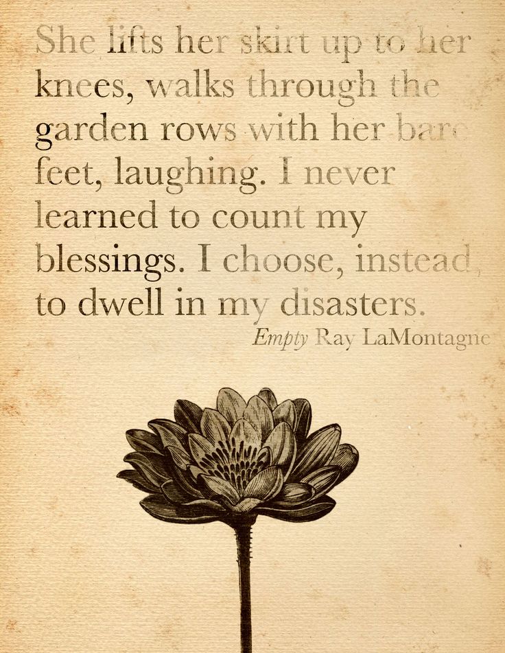 Ray Lamontagne Quotes Quotesgram