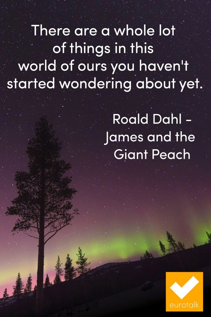 Quotes From James And The Giant Peach Quotes From James And The Giant Peach. QuotesGram