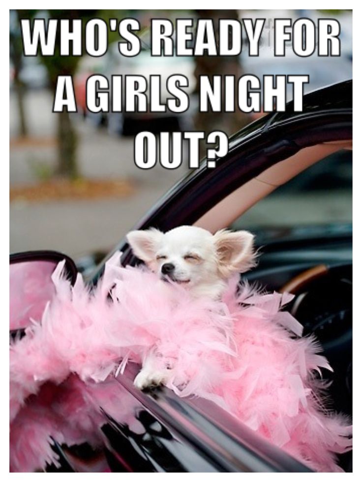 Ladies night tumblr