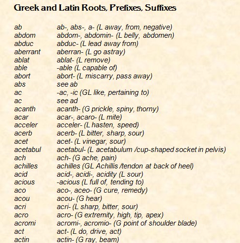 Popular latin quotes and meanings quotesgram