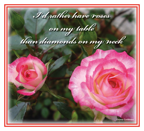 Rose Petal Quotes. QuotesGram