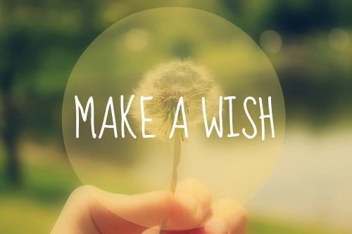 364085054 10764 Make A Wish