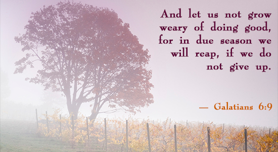 Bible Quotes About Respect. QuotesGram