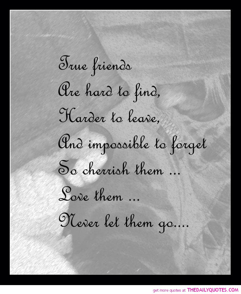 True Friendship Quotes And Poems. QuotesGram