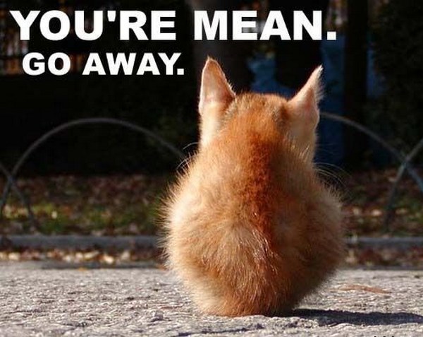 Cat Pissed Off Quotes. QuotesGram Cat Pissed Off Quotes. QuotesGram