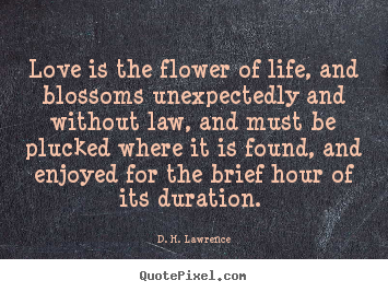 dh lawrence in love dh lawrence in love