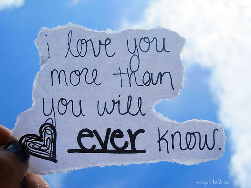 Quotes Youll Ever Understand Quotesgram Quotes Youll Ever Understand Quotesgram