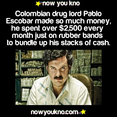 Quotes From Pablo Escobar Quotesgram