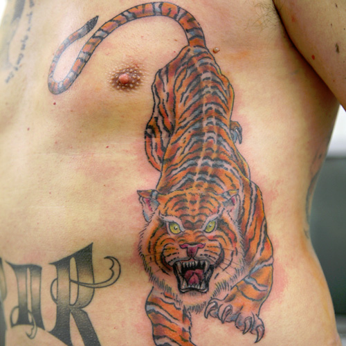 tiktok girl with tiger rib tattooTikTok Search