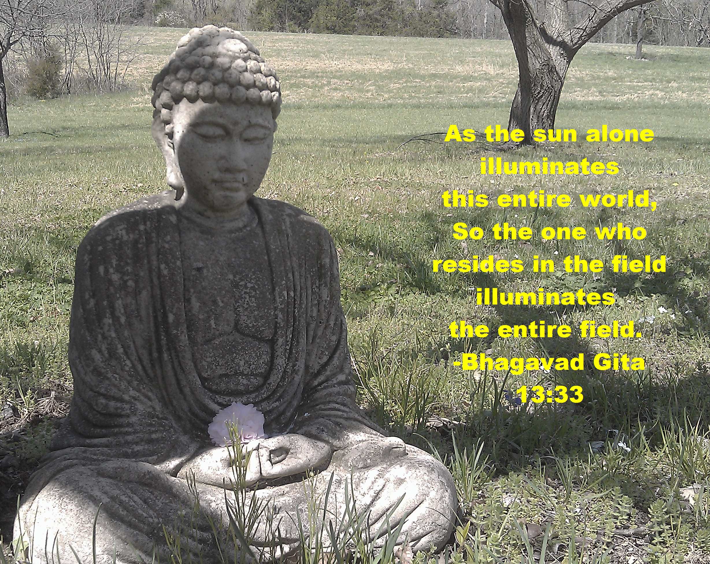 Vegetarian Buddha Quotes. QuotesGram