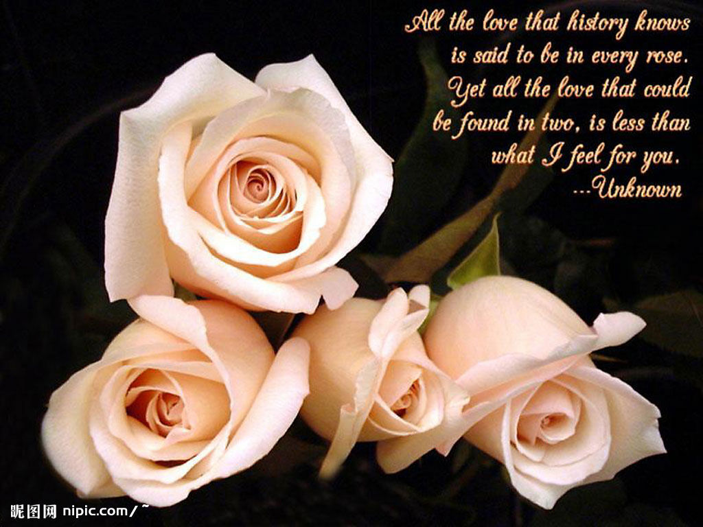 Roses With Quotes For Him. QuotesGram