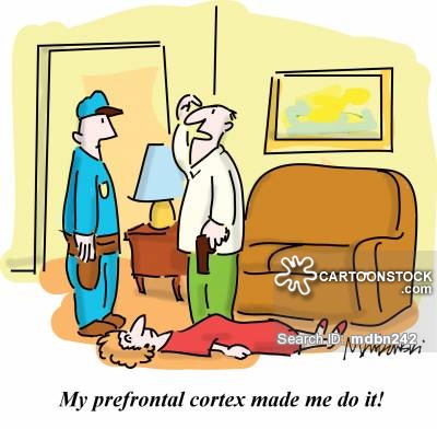 Funny Neurology Quotes. QuotesGram Funny Neurology Quotes. QuotesGram