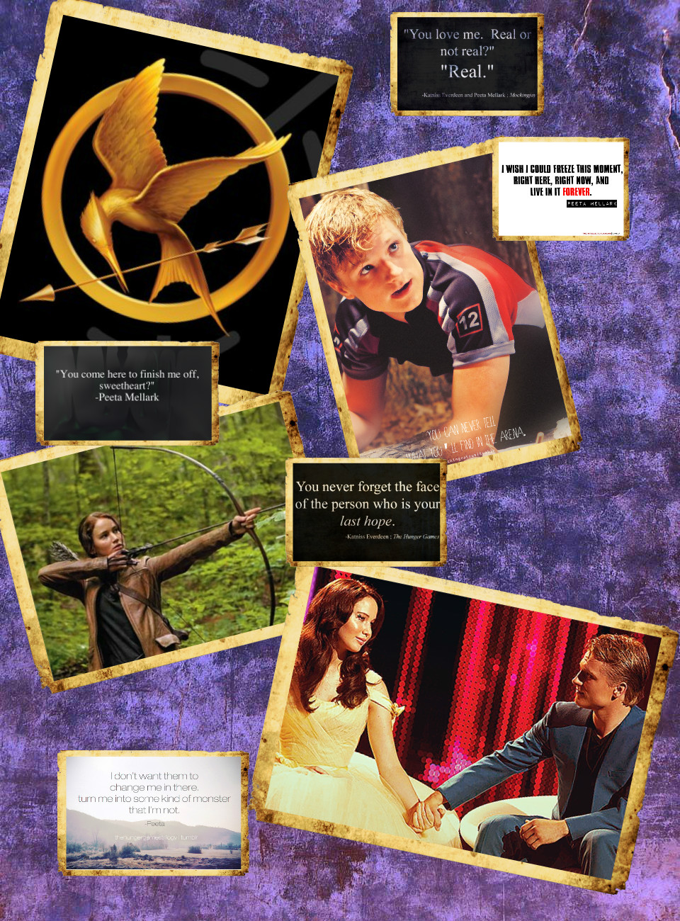 Hunger Games Quotes With Pages Quotesgram Hunger Games Quotes With Pages Quotesgram