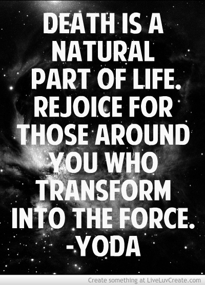 Quotes By Yoda. QuotesGram