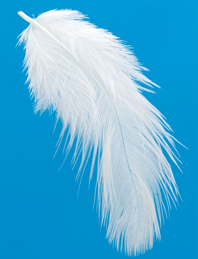 A Feather Quotes. QuotesGram