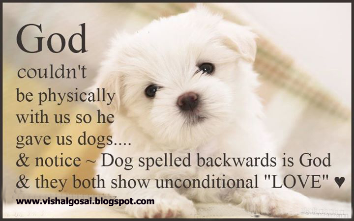 Quotes God Loves Animals. QuotesGram Quotes God Loves Animals. QuotesGram