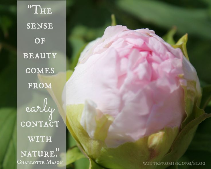 Charlotte Mason Quote on Nature
