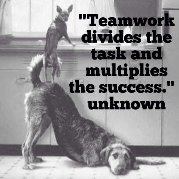 Teamwork Success Quotes Business QuotesGram
