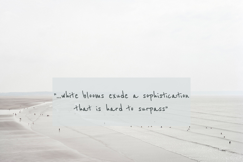 The Color On White Quotes Quotesgram